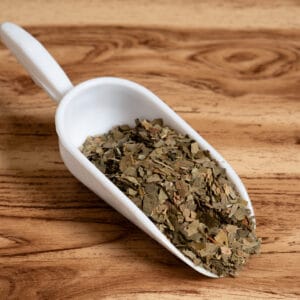 Τζίνγκο Μπιλόμπα Φύλλο Κομμένο