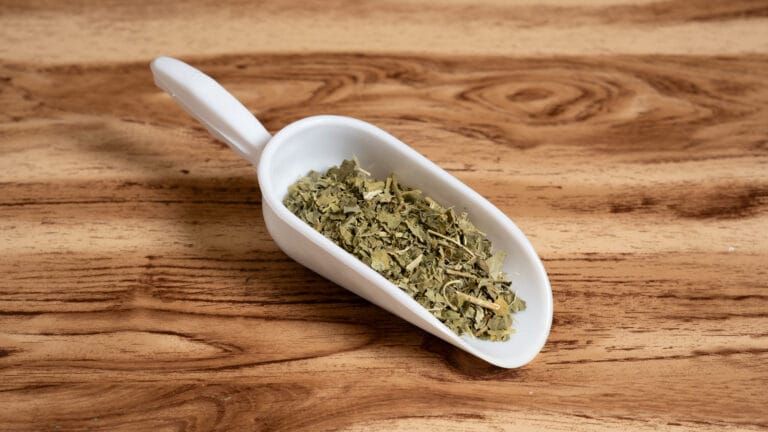 Αρχική Πασιφλώρα Φυτό Κομμένο