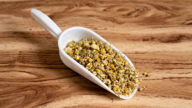 Αρχική Χαμομήλι Άνθος