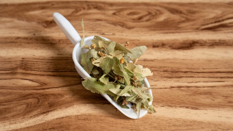 Αρχική Τίλιο Άνθος