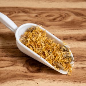 Καλέντουλα Άνθος