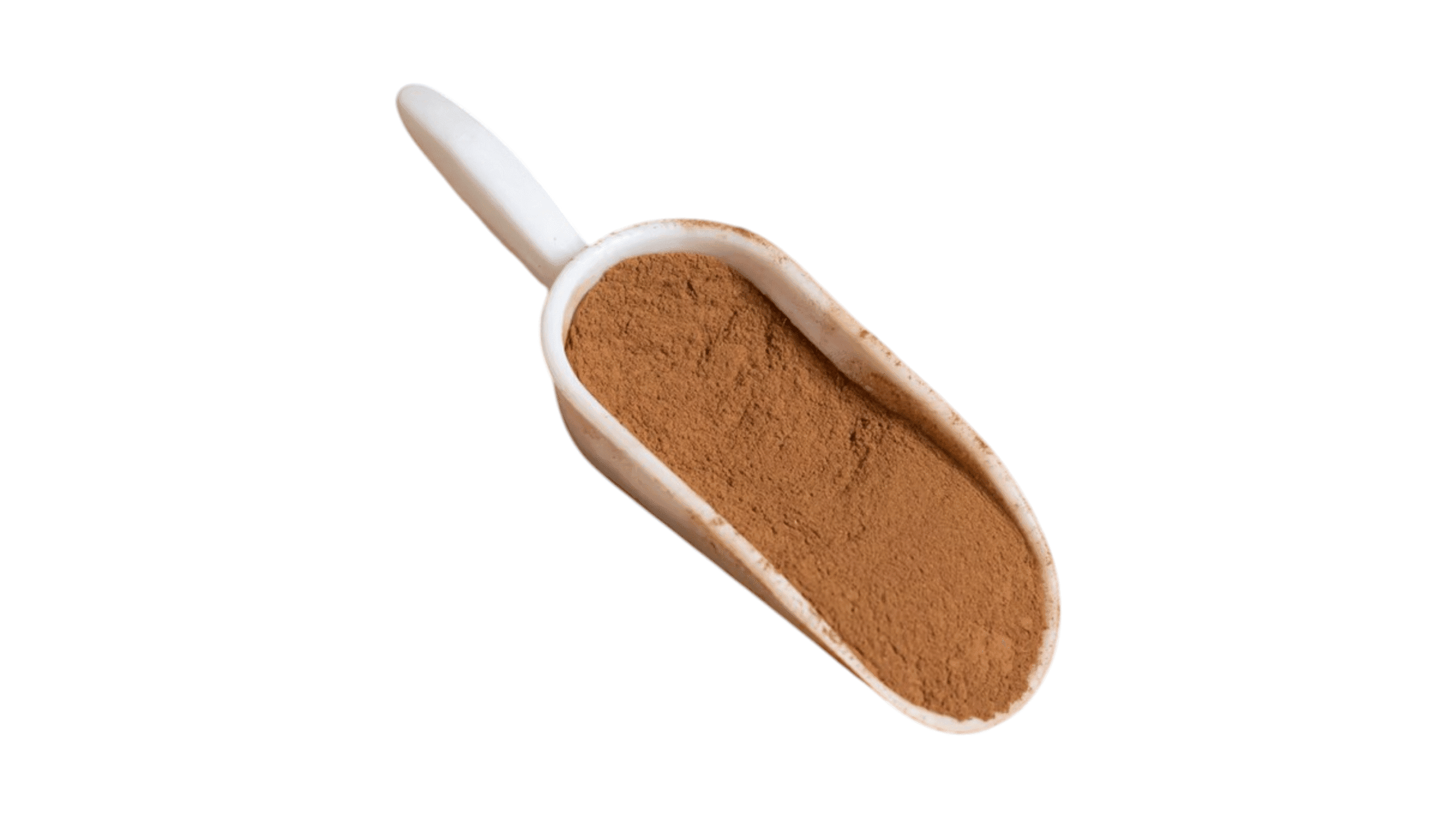 Κανέλλα Τριμμένη extra Κεϋλάνης Κανέλλα Τριμμένη extra Κεϋλάνης