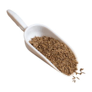 Άγριο Κύμινο Σπόρος