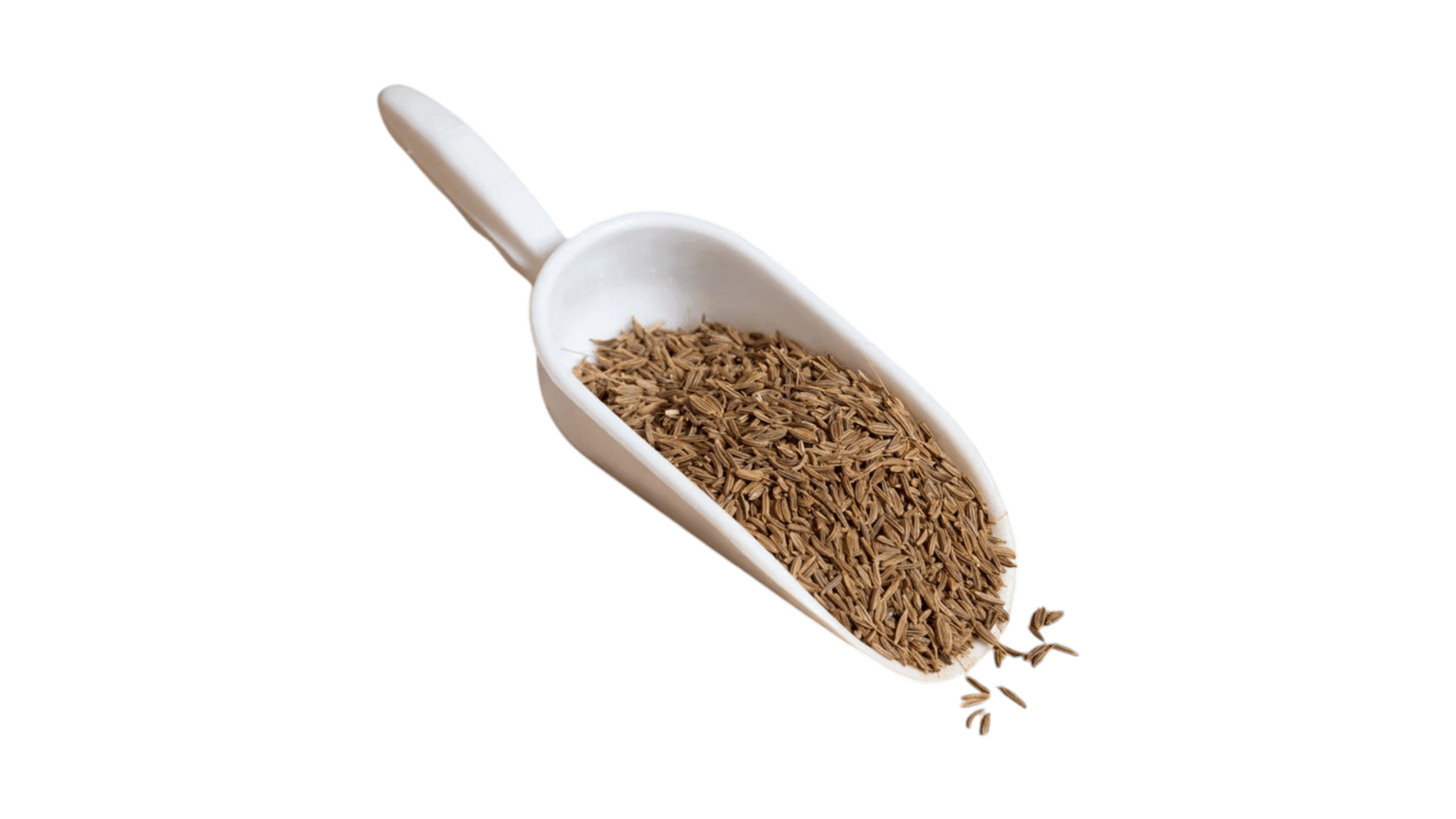 Άγριο Κύμινο Σπόρος Άγριο Κύμινο Σπόρος