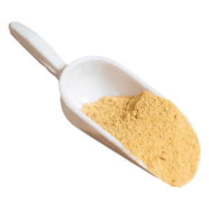 Τζίντζερ Σκόνη