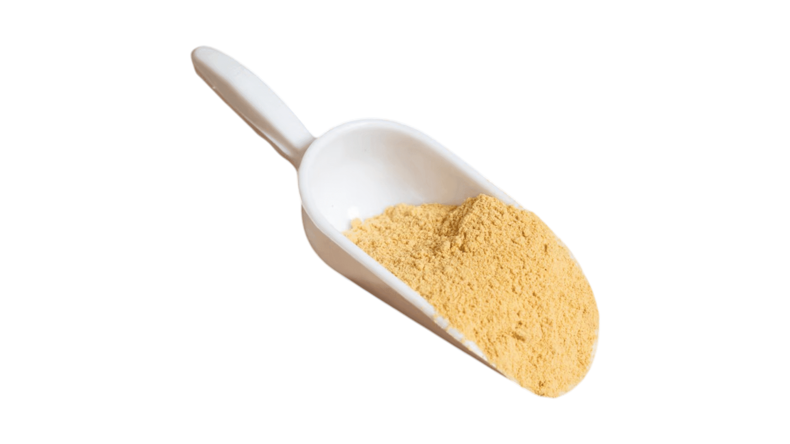 Τζίντζερ Σκόνη Τζίντζερ Σκόνη