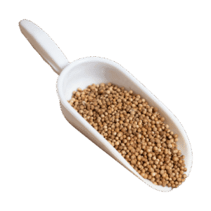 Κόλιανδρος Σπόρος Ολόκληρος