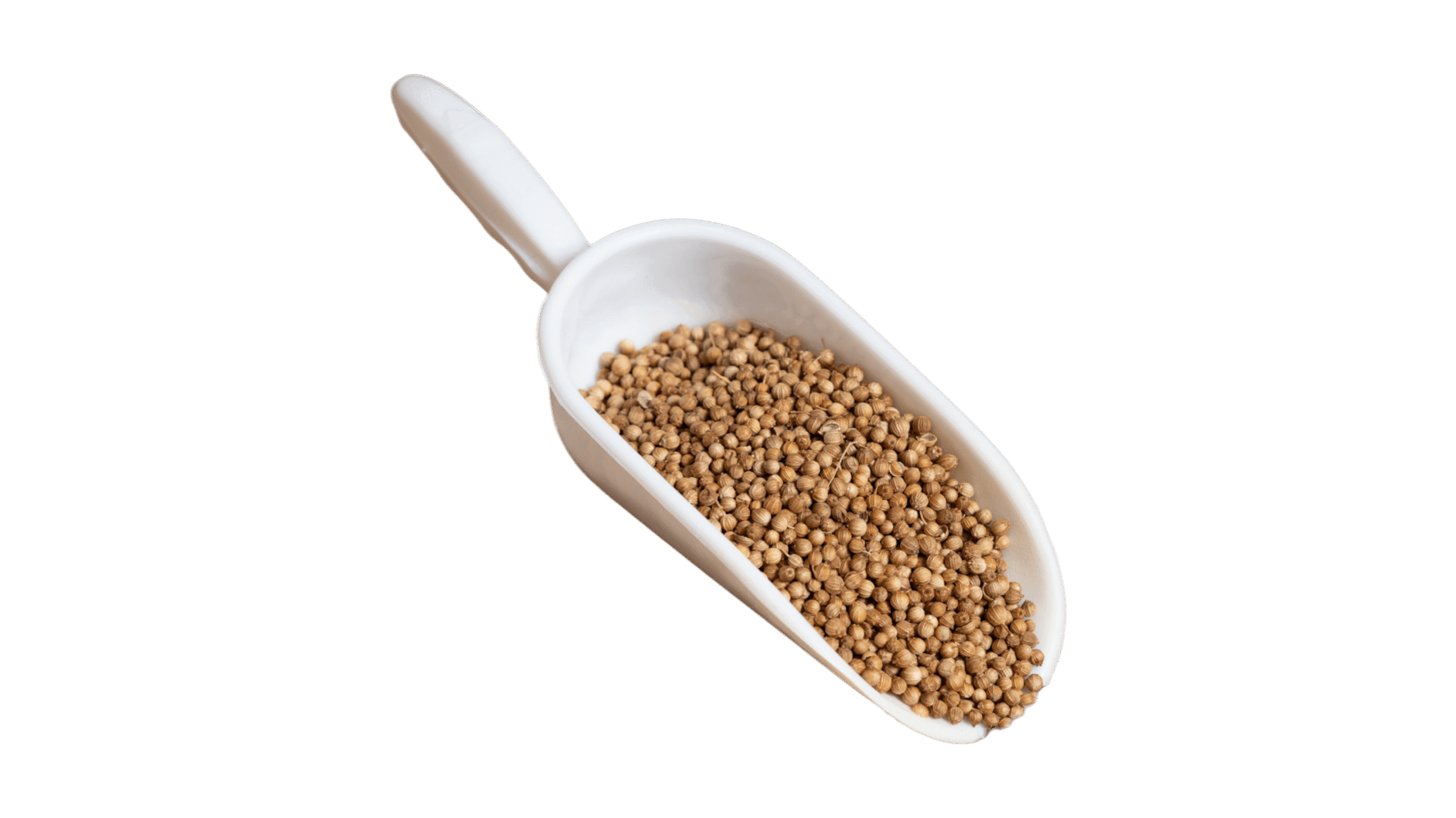 Κόλιανδρος Σπόρος Ολόκληρος Κόλιανδρος Σπόρος Ολόκληρος