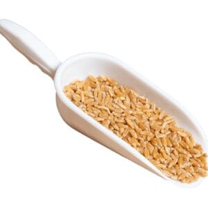 Σιτάρι Σκληρό Ελληνικό