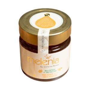 Μέλι Πεύκου με Μαστίχα 300g