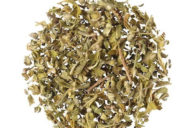 Νταμιάνα Φύλλο Νταμιάνα Φύλλο