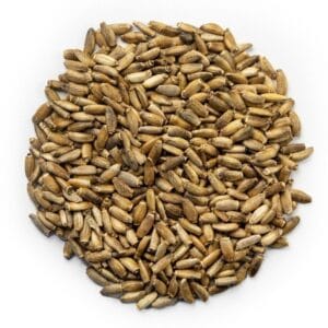 Γαϊδουράγκαθο Σπόροι