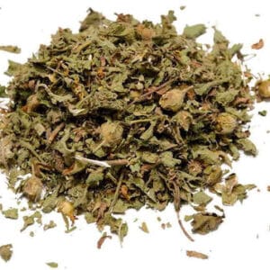 Κίστος (Λαδάνια) Φυτό Κομμένο